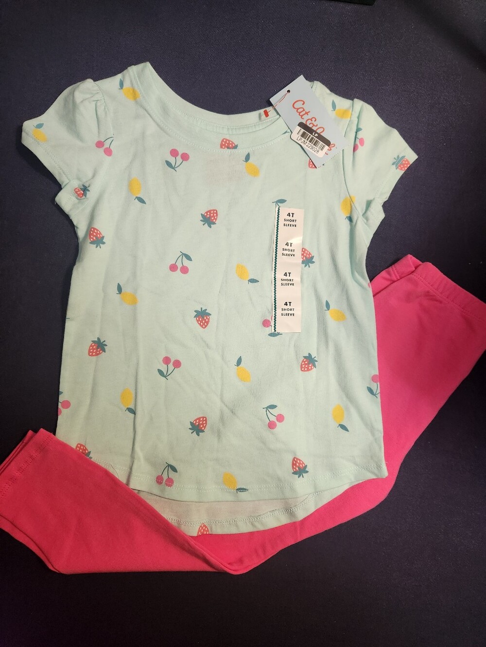 Cat & Jack Girls Floral Top & Full Length Leggings Set, Size 4T, NWT